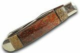 Pocket Knife With Fossil Dinosaur Bone (Gembone) Inlays #370829-2
